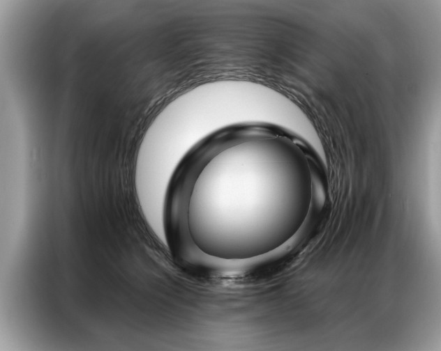 X0000087350564200704271421
