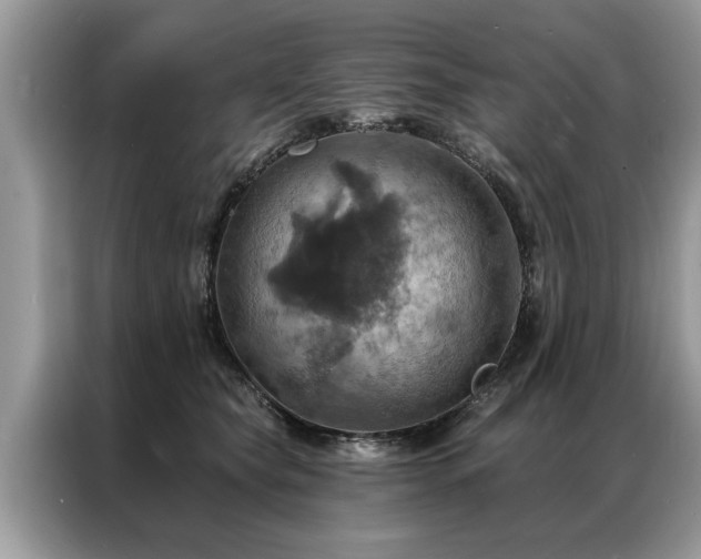 X0000087350565200704271421