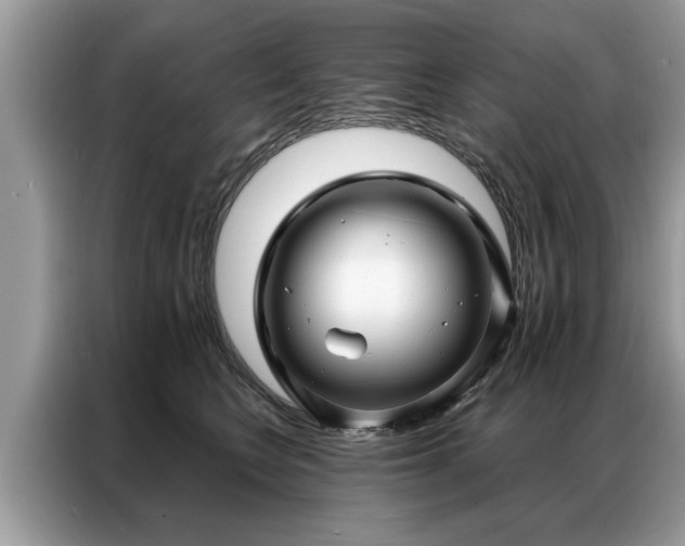 X0000087350566200704271421