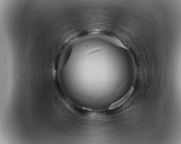 X0000087350568200704271421