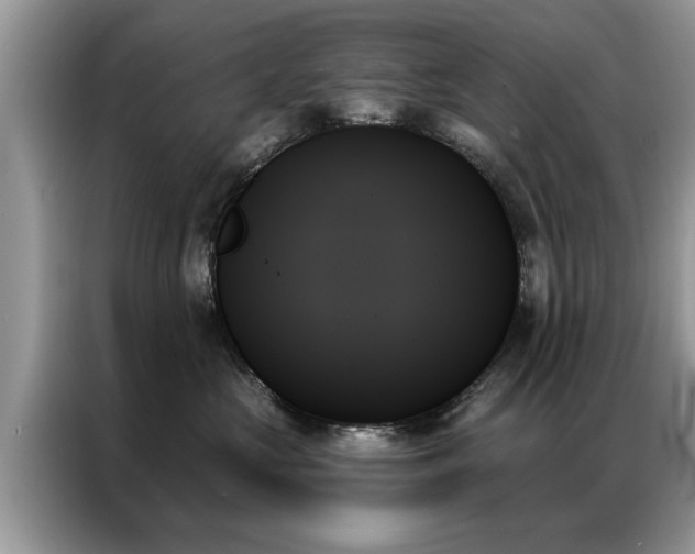 X0000087350573200704271421
