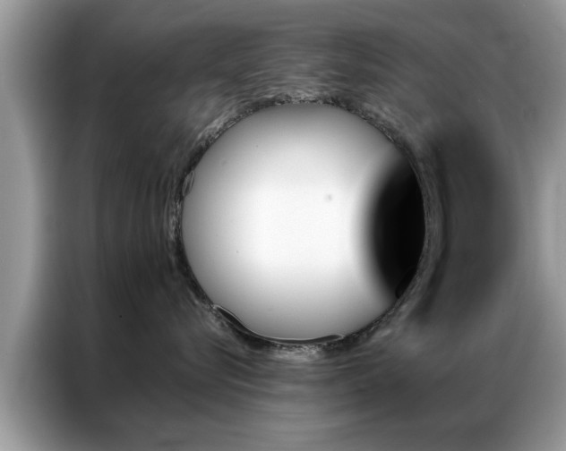 X0000087350576200704271421