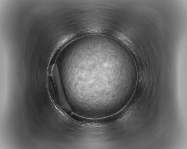 X0000087350578200704271421