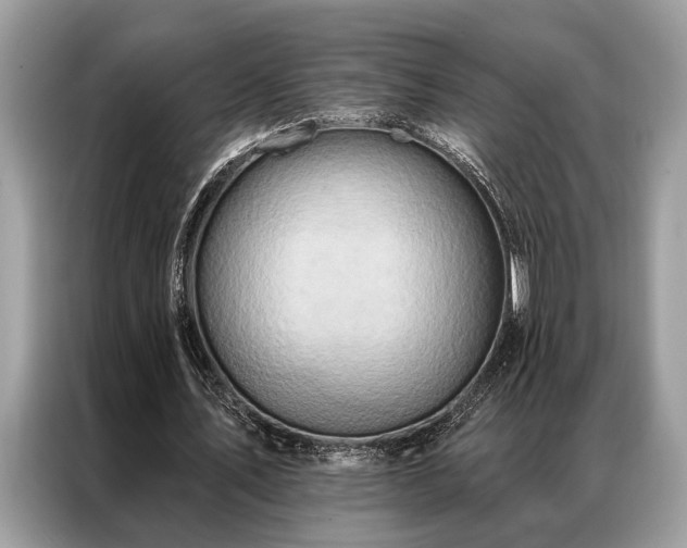 X0000087350579200704271421