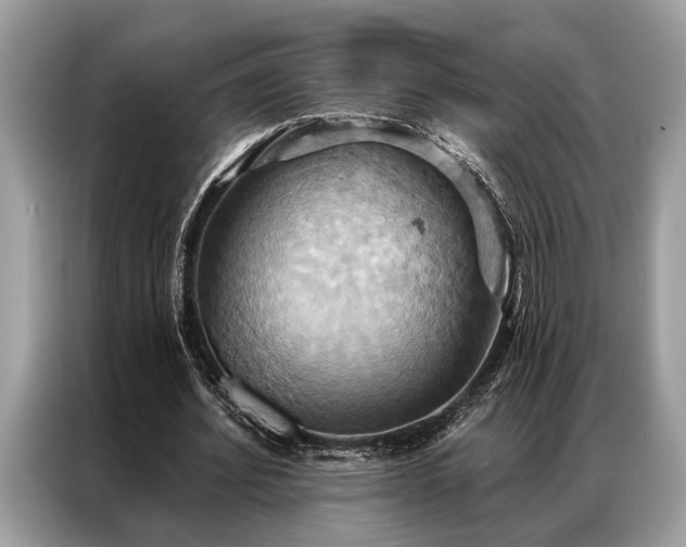 X0000087350580200704271421