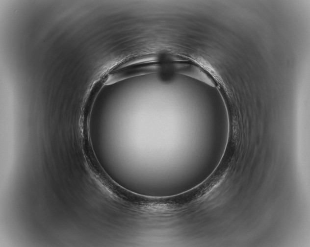 X0000087350581200704271421