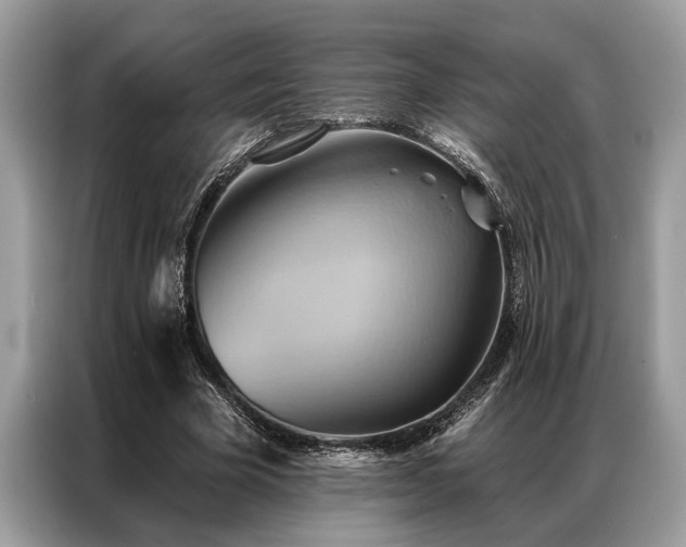 X0000087350585200704271421