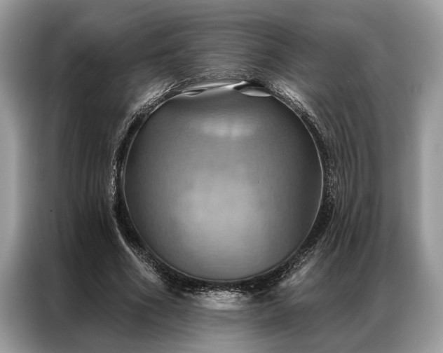 X0000087350586200704271421