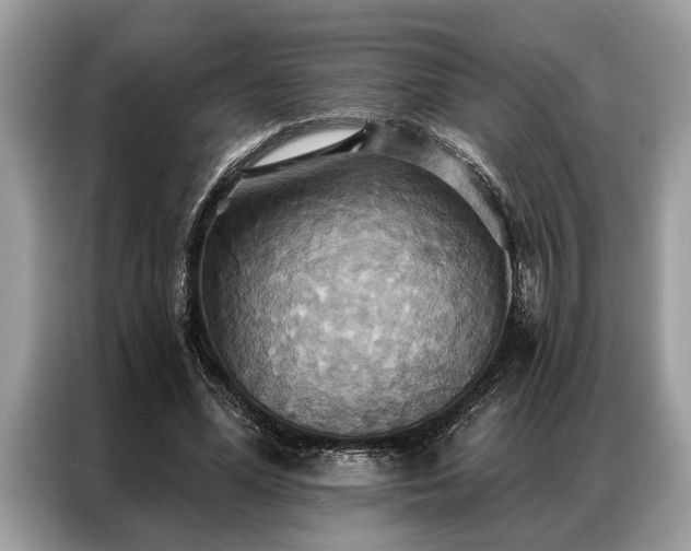 X0000087350588200704271421