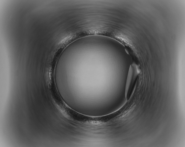 X0000087350590200704271421