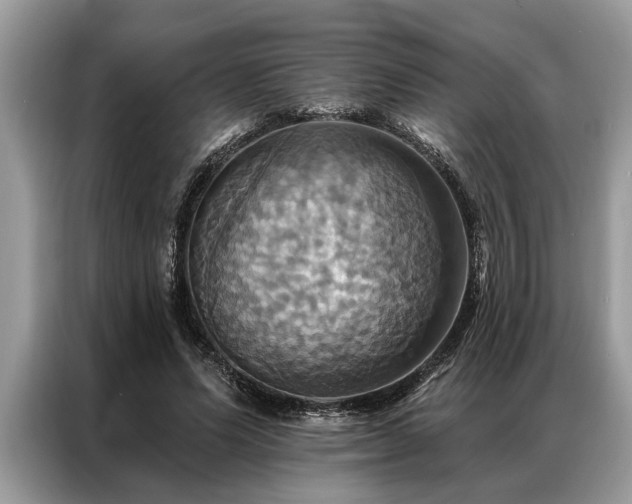 X0000087350591200704271421