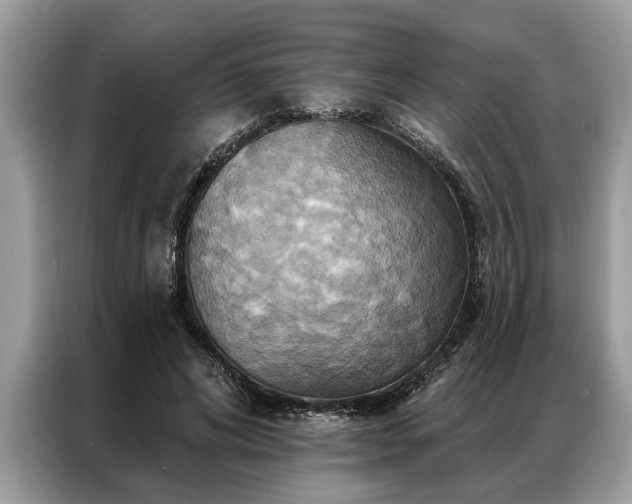 X0000087350592200704271421