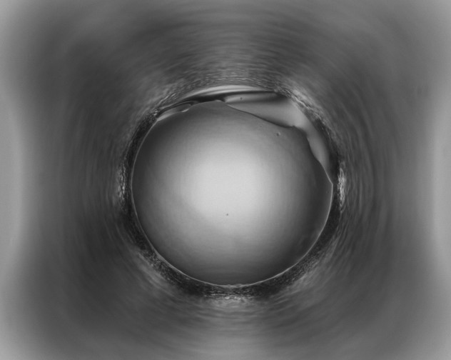 X0000087350593200704271421