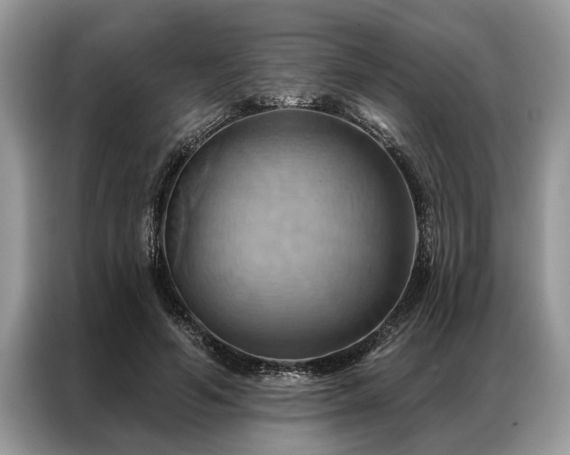 X0000087350594200704271421