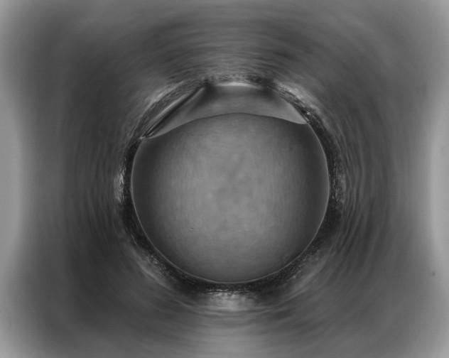 X0000087350596200704271421