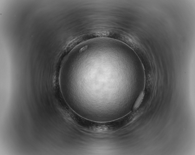 X0000087350600200704271421