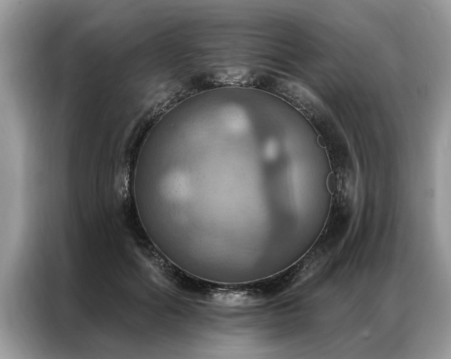 X0000087350602200704271421
