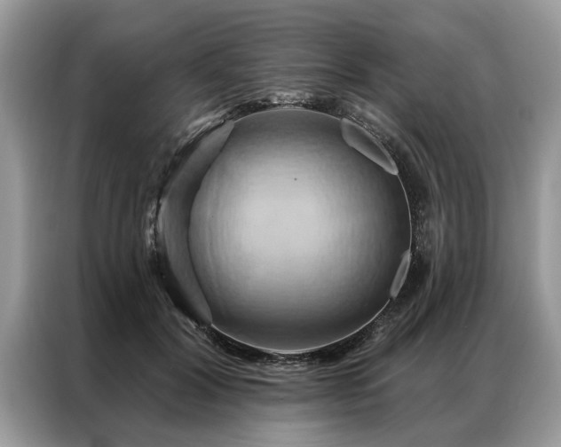 X0000087350604200704271421