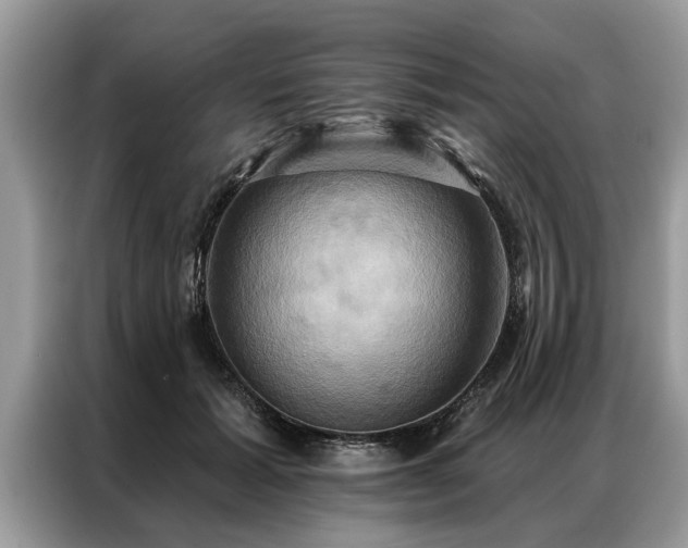X0000087350605200704271421