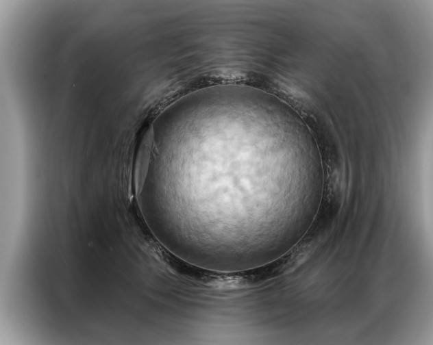 X0000087350609200704271420