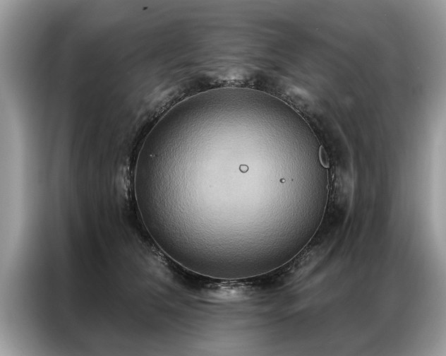 X0000087350612200704271420