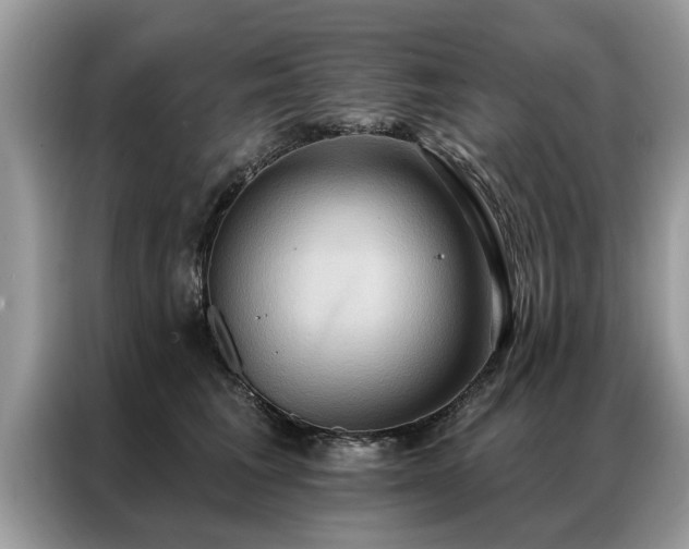 X0000087350613200704271420