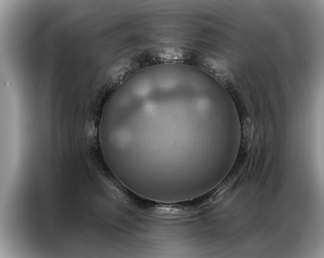 X0000087350614200704271420