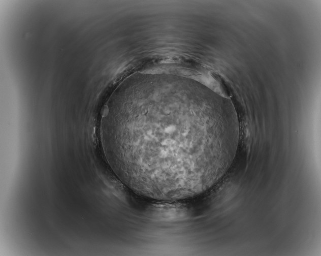 X0000087350615200704271420