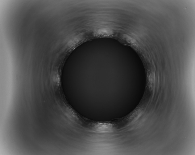 X0000087350617200704271420
