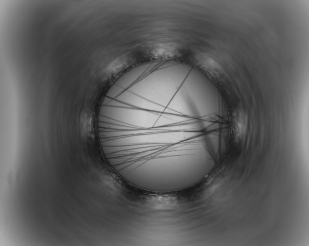 X0000087350619200704271420