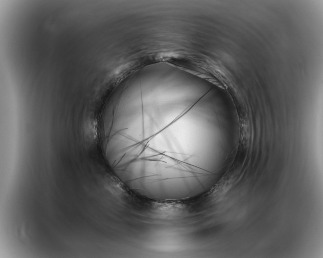 X0000087350621200704271420