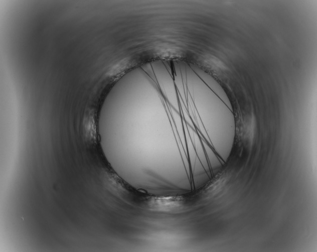 X0000087350622200704271420