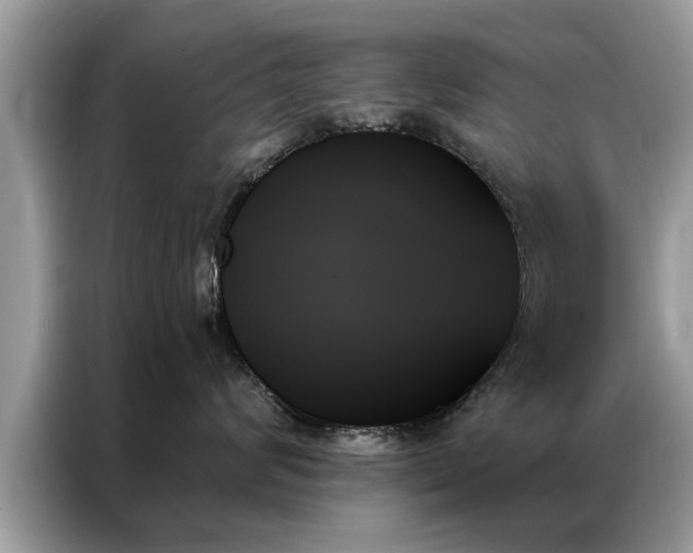 X0000087350624200704271420