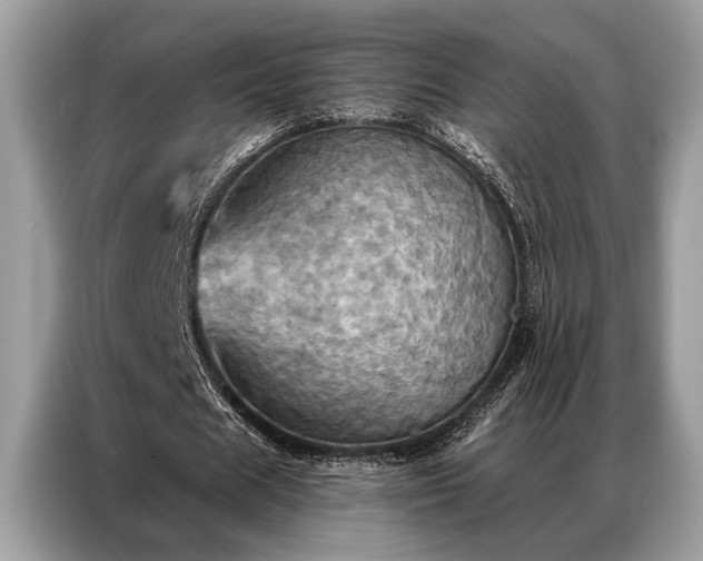X0000087350625200704271420