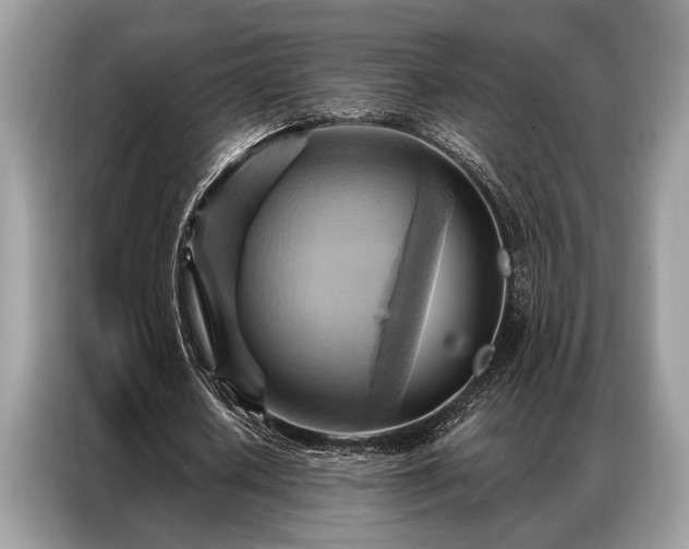 X0000087350626200704271420