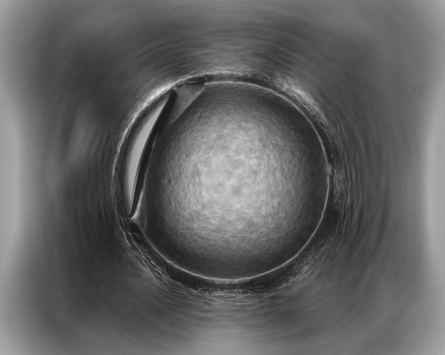 X0000087350628200704271420