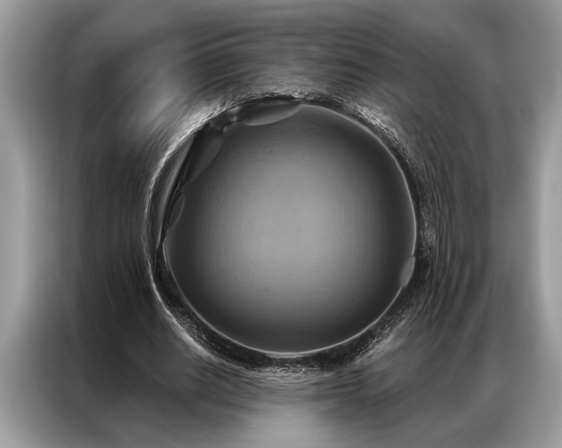X0000087350630200704271420