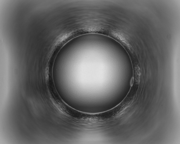 X0000087350631200704271420