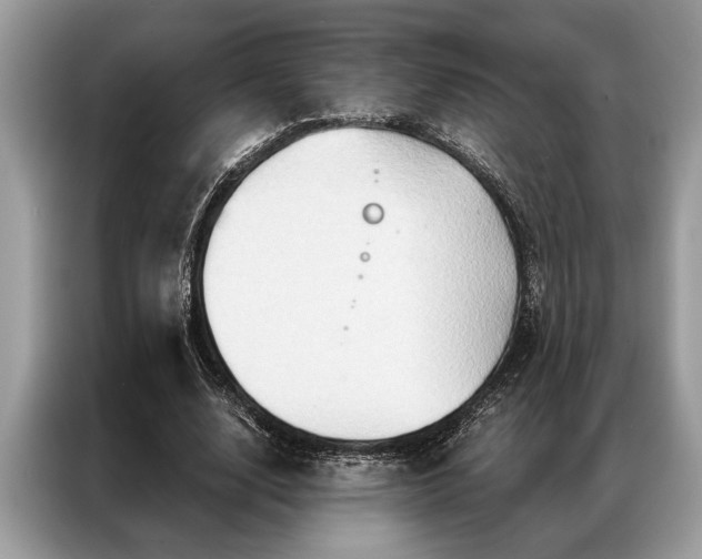 X0000087350632200704271420