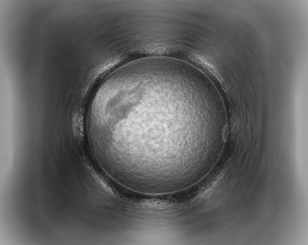X0000087350633200704271420