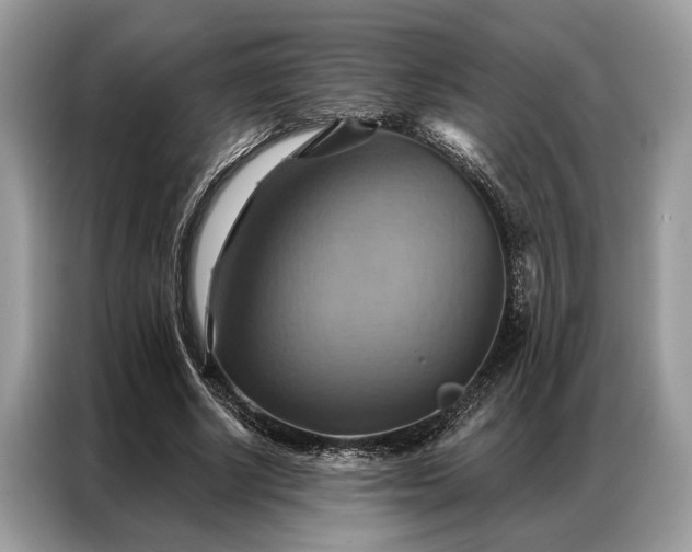 X0000087350634200704271420