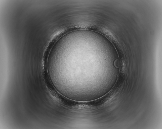 X0000087350636200704271420