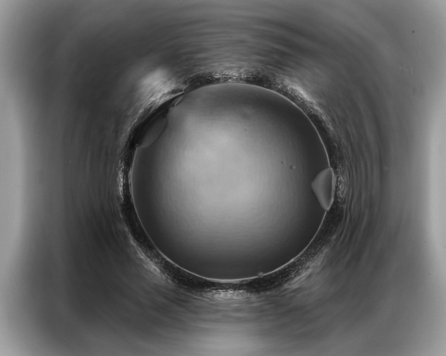 X0000087350637200704271420