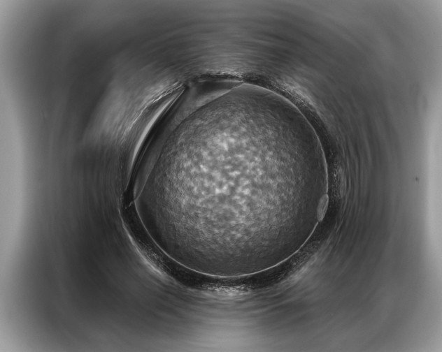 X0000087350638200704271420