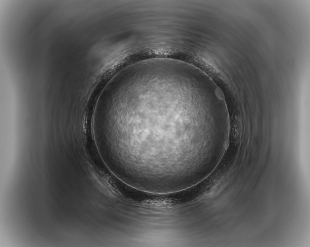 X0000087350639200704271420