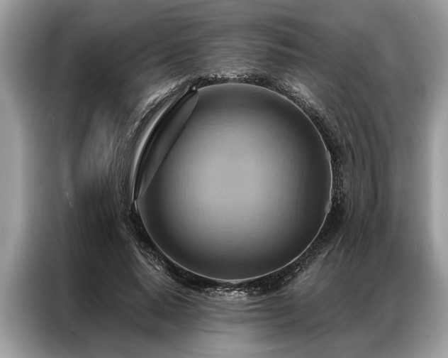 X0000087350640200704271420
