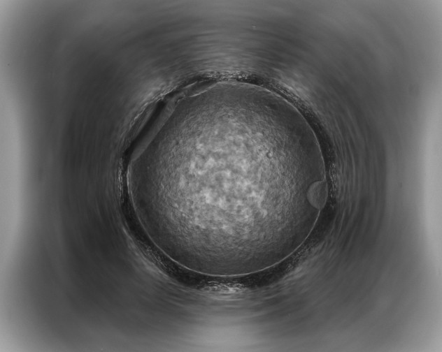 X0000087350642200704271420