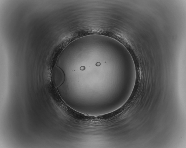 X0000087350643200704271420