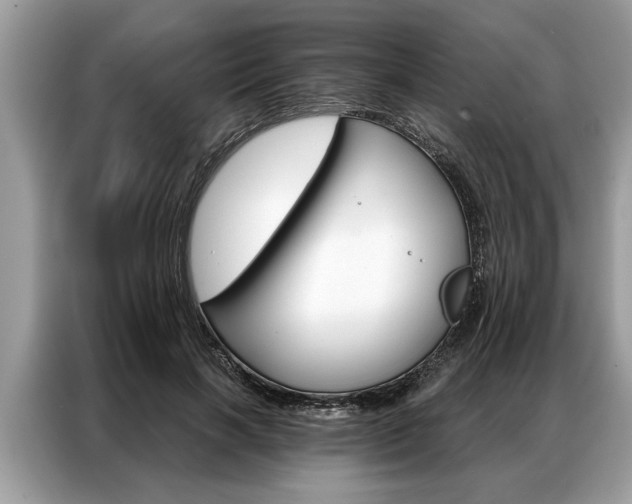 X0000087350646200704271420