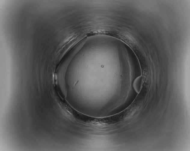 X0000087350648200704271420
